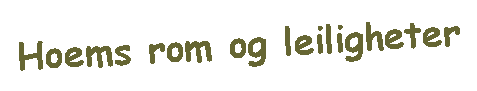 Tekstboks: Hoems rom og leiligheter